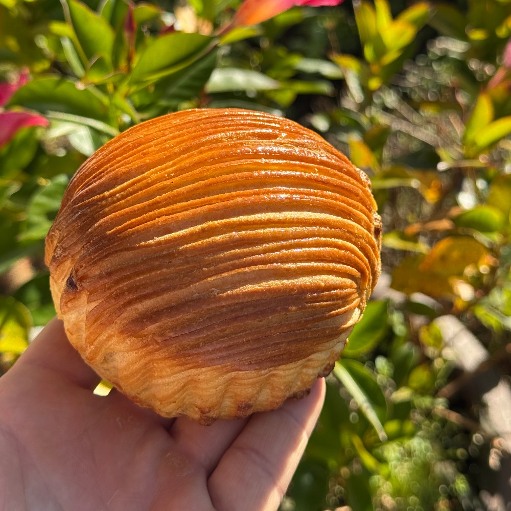 Galparsoro Okindegia | Dulce de Albaricoque y Crema Pastelera