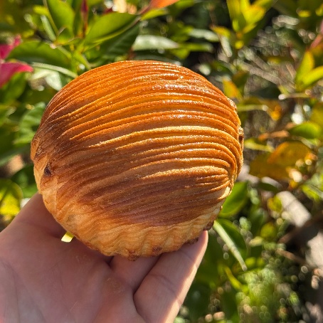 Galparsoro Okindegia | Dulce de Albaricoque y Crema Pastelera